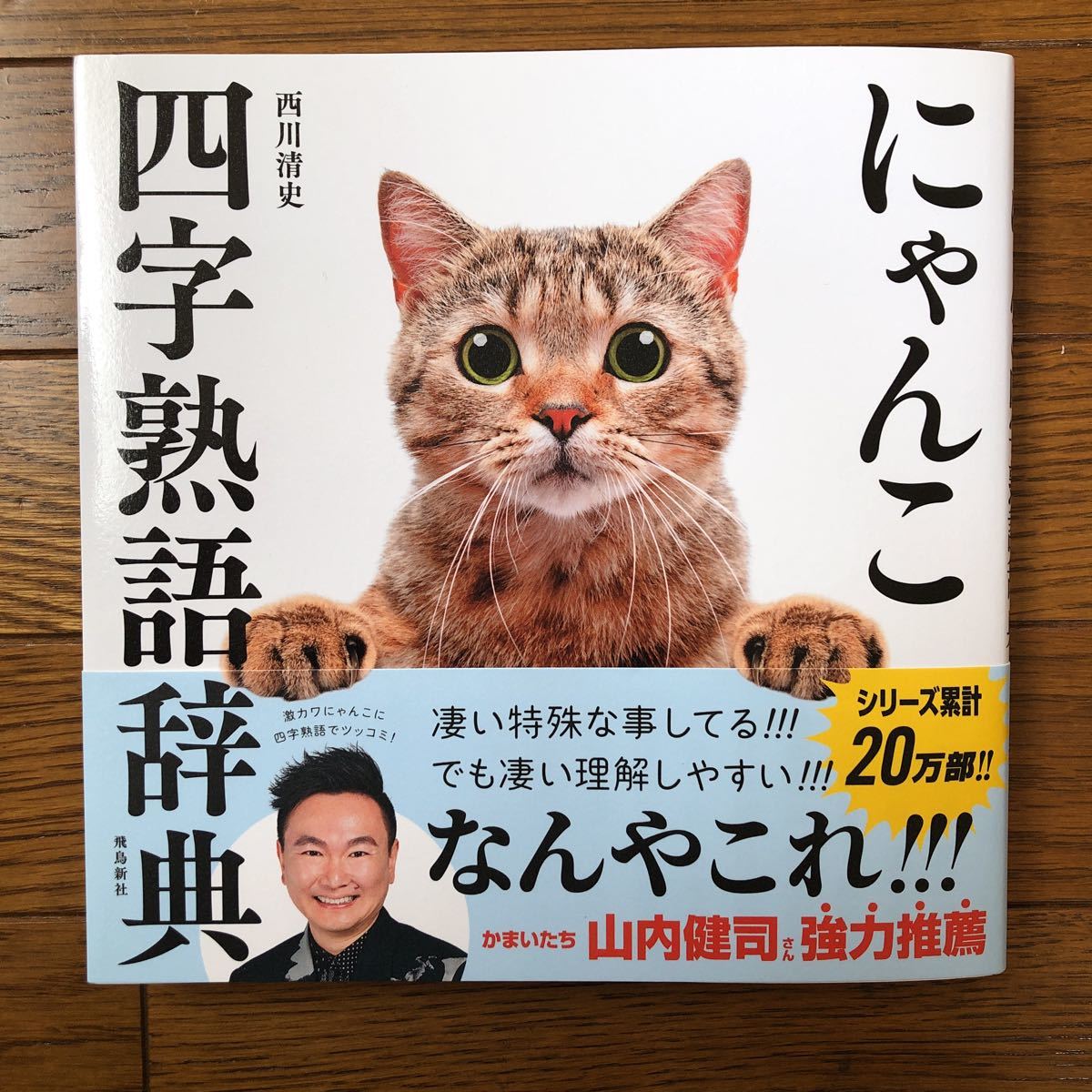 にゃんこ四字熟語辞典 ねこ 猫 ネコ 四字熟語 辞典　じてん 本 写真 国語 かわいい 面白い 笑える 学べる 日本語 ネコ写真_画像1