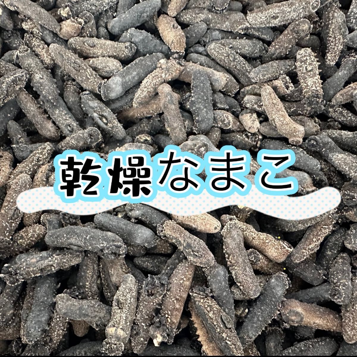 乾燥なまこSSサイズ 500g