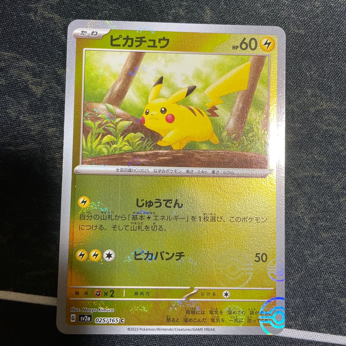 ポケモン151 ピカチュウ マスターボールミラー ピカチュウライチュウ