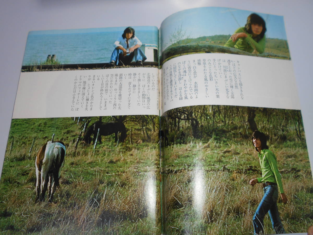 セブンティーン 昭和49年1974 7 9 25 城みちる/西城秀樹/フォリーブス/南沙織/フィンガー5/ブルースリー 郷ひろみ ルネシマール 風吹ジュン - その他 セブンティーン 昭和49年1974 7 9 25 城みちる/西城秀樹/フォリーブス/南沙織/フィンガー5/ブルースリー 郷ひろみ ルネシマール 風吹ジュン - その他