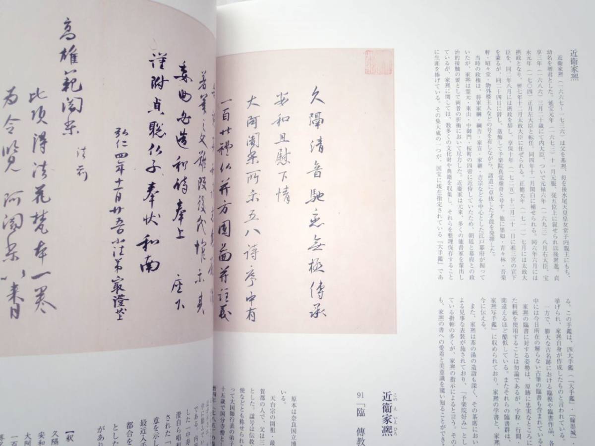 0024291 特別展観図録 名家の手紙 悠久のロマンを抱く 陽明文庫所蔵名品による 2007年 日本書芸院役員展_画像9