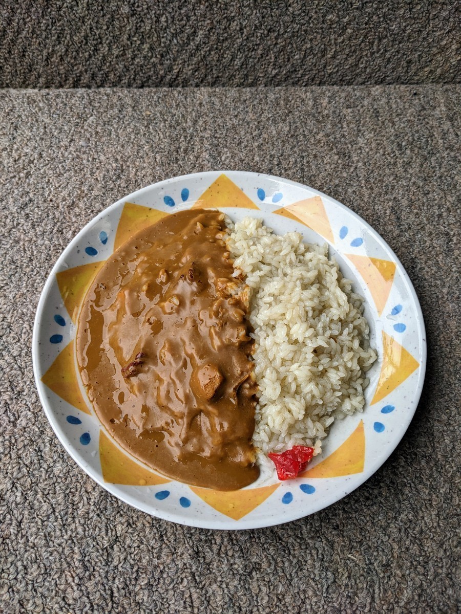 食品サンプル】カレーライス、カリー、 実物大 | www.terrabrasilis.com.br