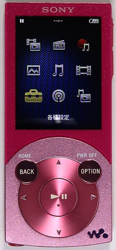 美品　SONY WALKMAN NW-S745 16GB パープル系