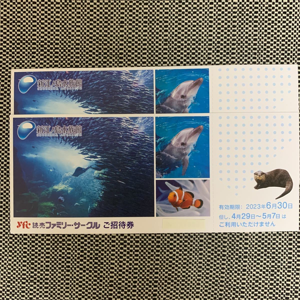 新江ノ島水族館 ご招待券 4枚セット - 通販 - guianegro.com.br