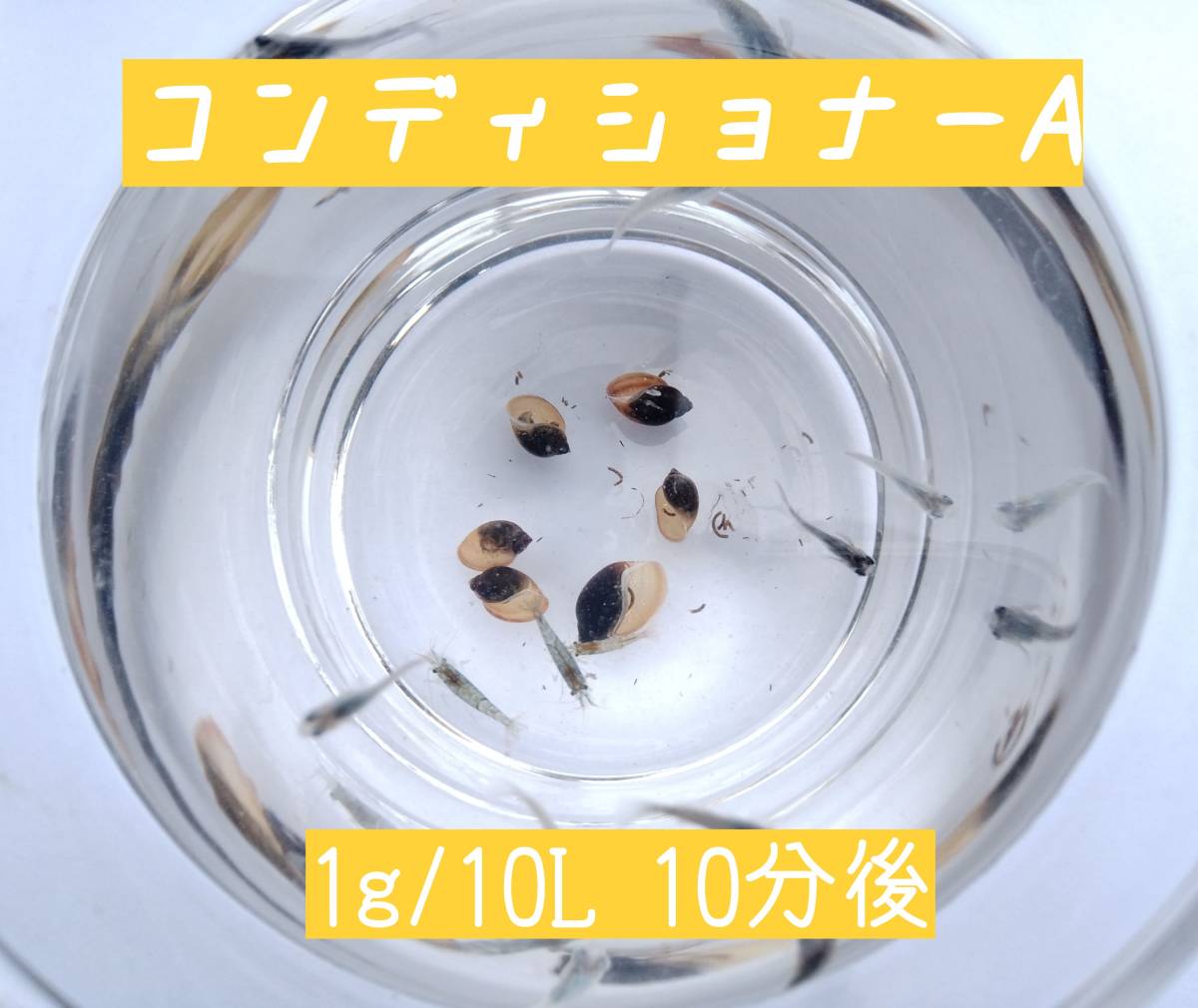 ☆大容量☆ 絶対に…駆逐してやる! エビ魚に無害 スネールバスター