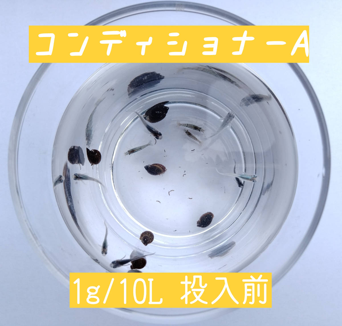 ☆大容量☆ 絶対に…駆逐してやる! エビ魚に無害 スネールバスター