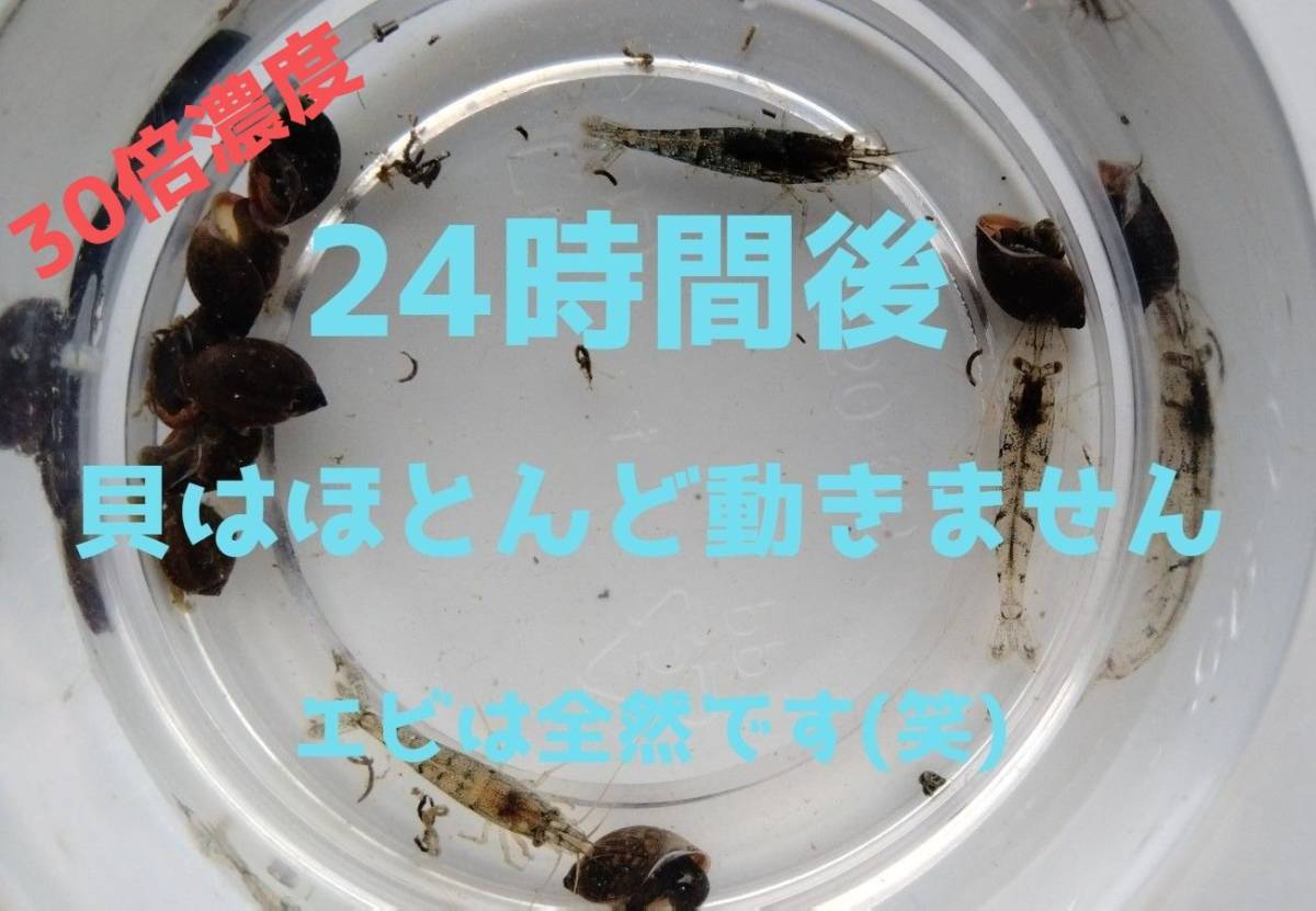 ☆大容量☆ 絶対に…駆逐してやる! エビ魚に無害 スネールバスター