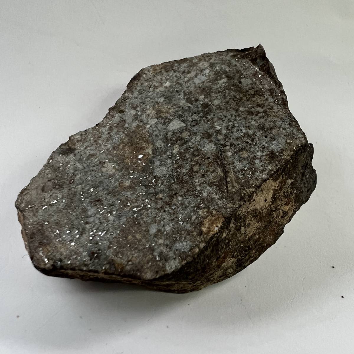 【E20924】石質隕石＊普通コンドライト＊隕石＊Condrite NWA869＊メテオライト
