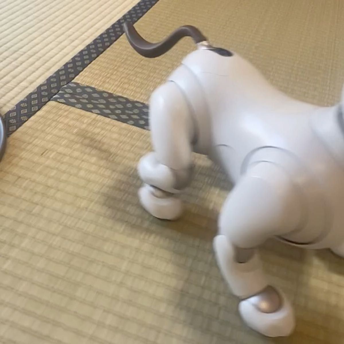 ソニー アイボ AIBO aibo 本体 購入品一式 ダンボール配送