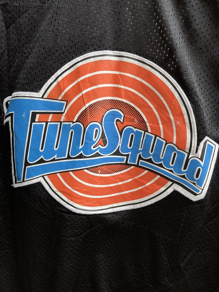 90s Champion チャンピオン SPACE JAM Tune Squad #22 Game Jersey