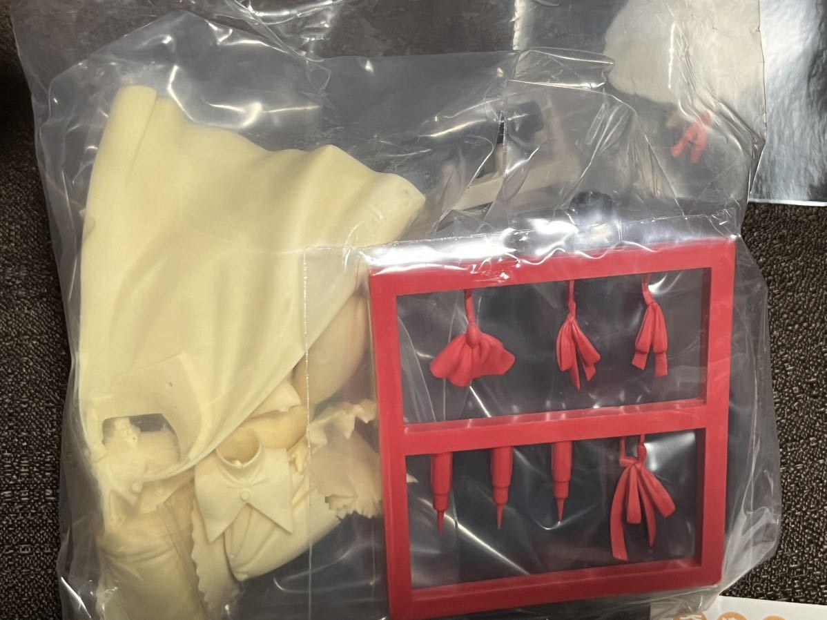 A2 奇楽亭 水月 雪さん いろつき カラーレジン ワンダー A2 奇楽亭 水月 雪さん いろつき カラーレジン ワンダー