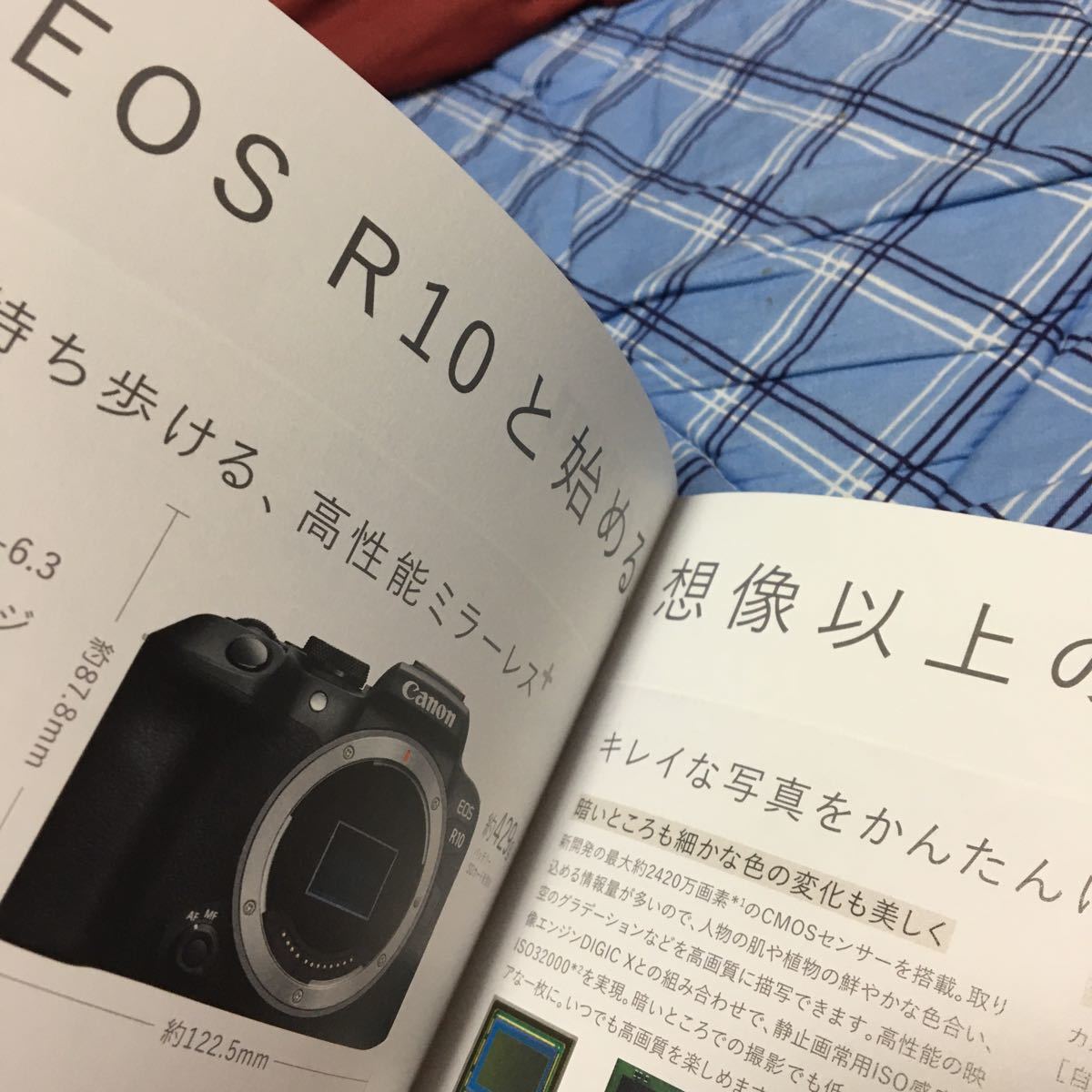 Canon キャノン EOS R10 R7 カメラ　カタログ　A4サイズ 2冊　★美品　　★即決
