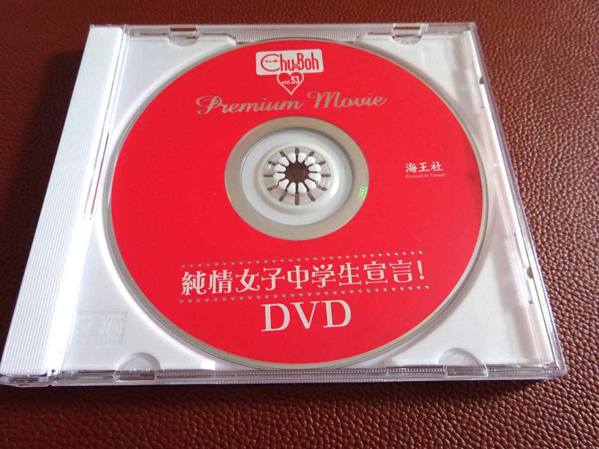 【DVD-120】　Chu-Boh チューボー vol.53　付録DVDのみ_画像1