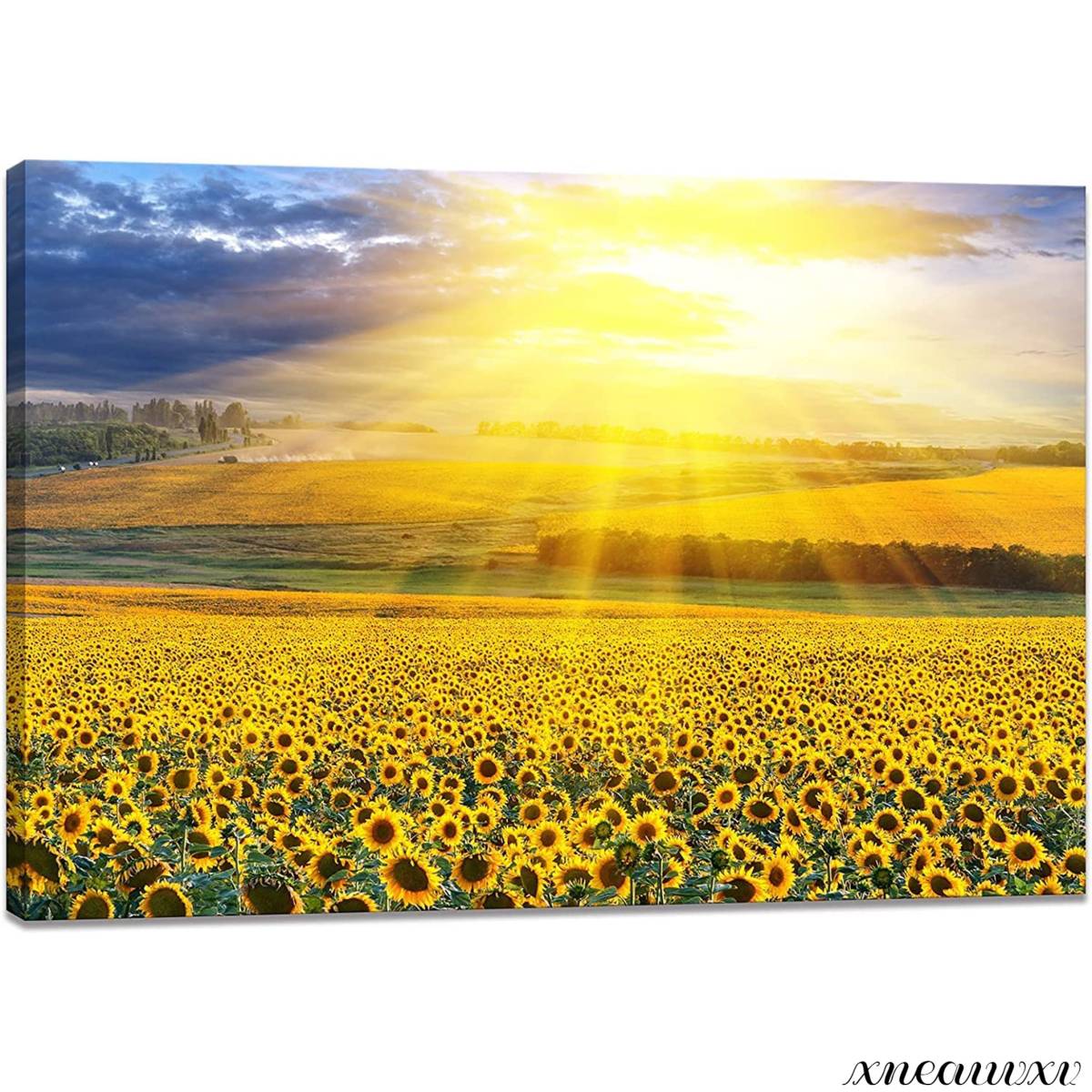  sunflower field art panel nature sun .. interior scenery ornament part shop decoration canvas picture stylish better fortune abroad art appreciation pattern change 