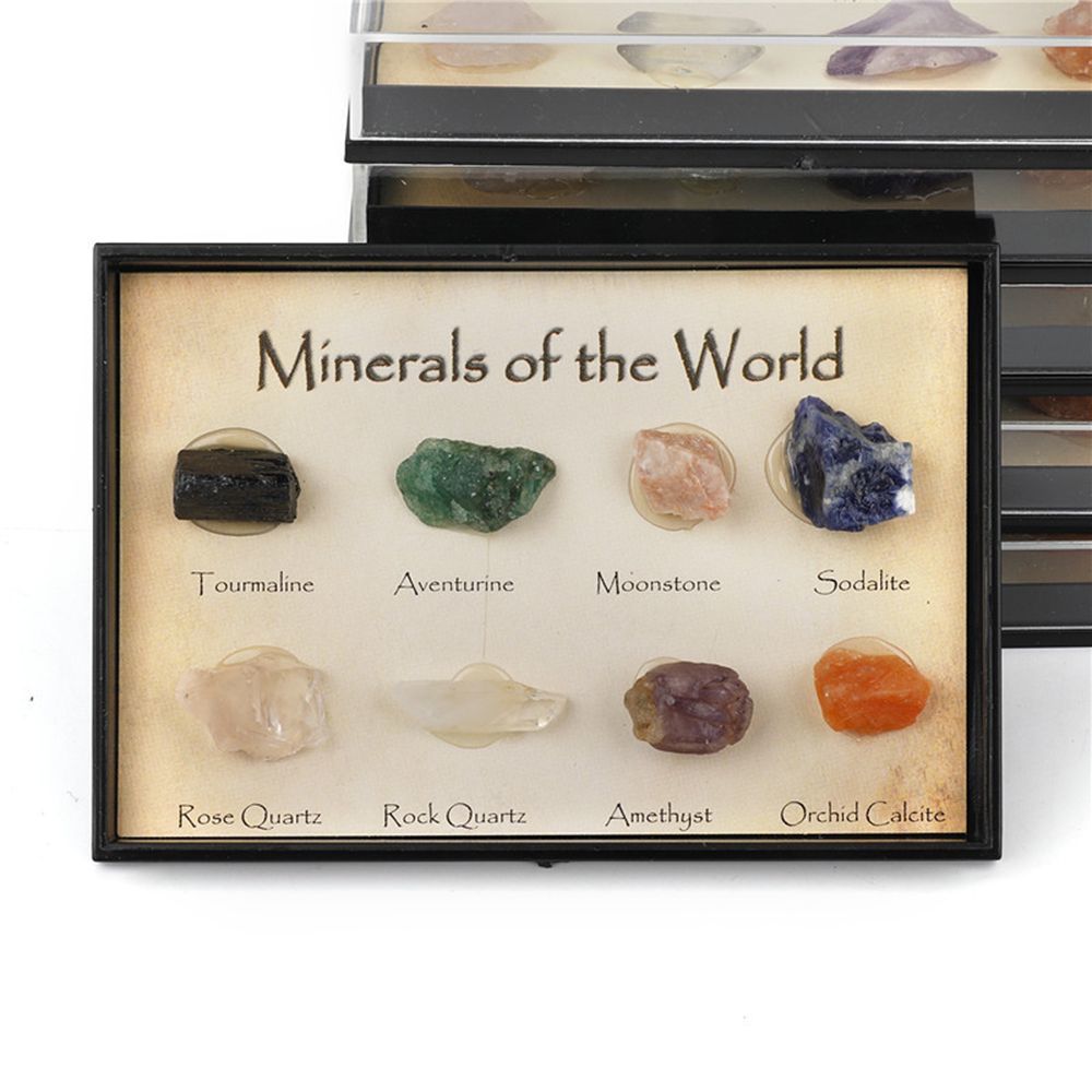 ８pcs ナチュラル パワーストーン 鉱物 ヒーリング ジェムストーン コレクション 標本 Minerals of the World ケース入_画像4