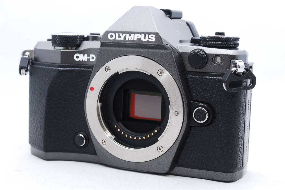 低価 オリンパス OM-D E-M5 Mark II Limited Edition mXJGo