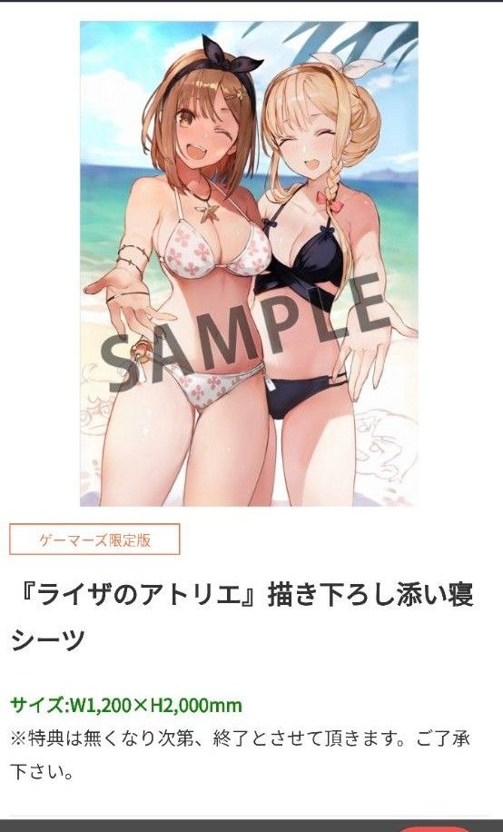 ライザ3 終わりの錬金術師と秘密の鍵 Switch プレミアムBOX 超限定版