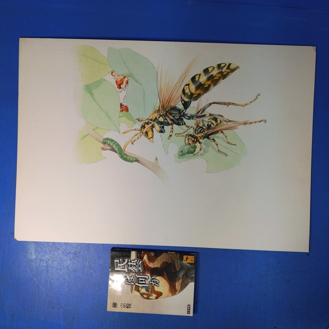 「沢田弘カラー挿絵原画 イモムシを捕獲するアシナガバチ」【真作】の画像1