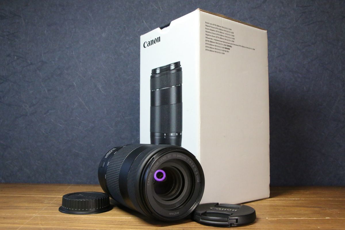 安価 ワタナベ 【同梱歓迎】【動作保証・点検済】良品□キヤノン Canon