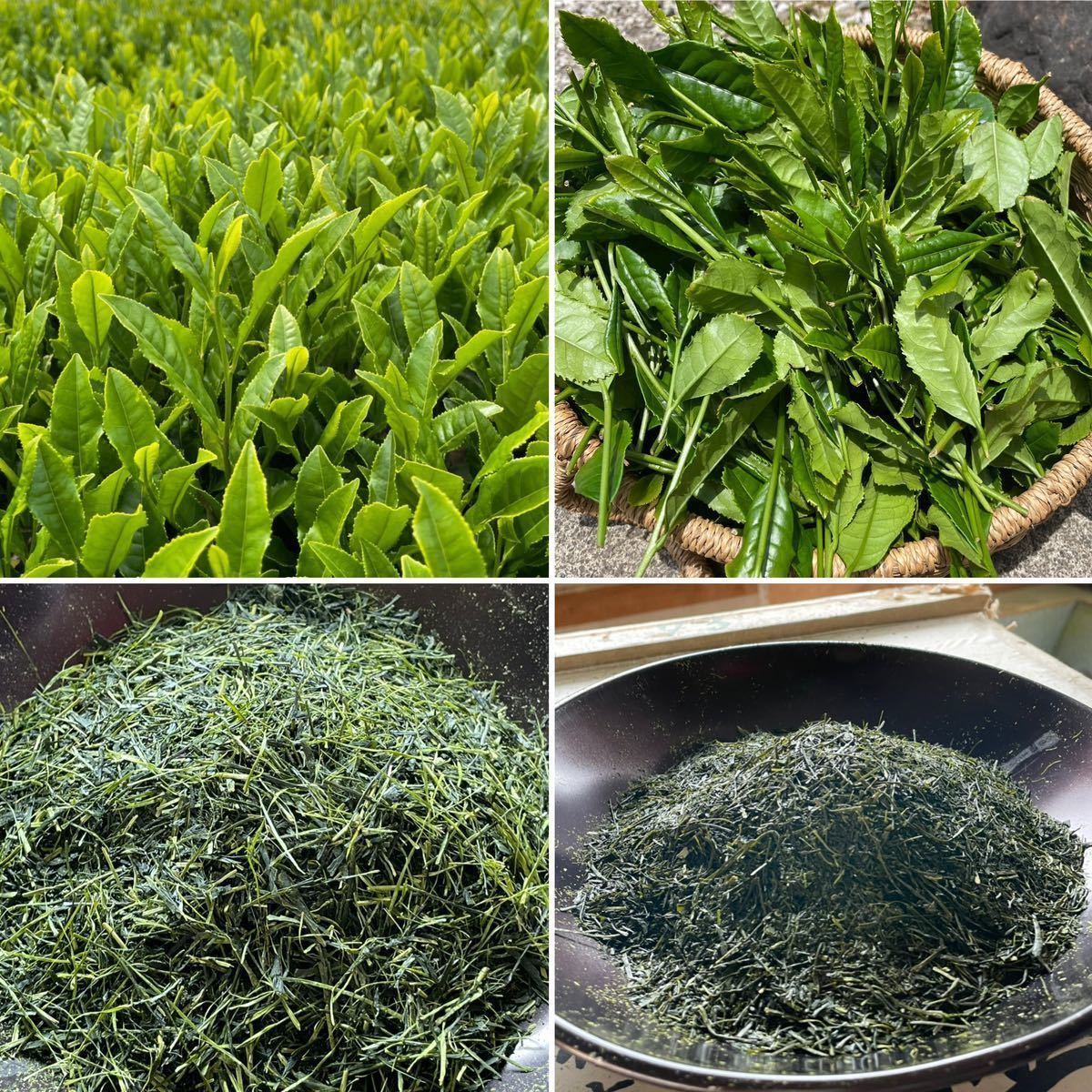 狭山茶☆茶畑直販 煎茶2袋(令5年産)一番茶 深蒸し茶 緑茶日本茶お茶