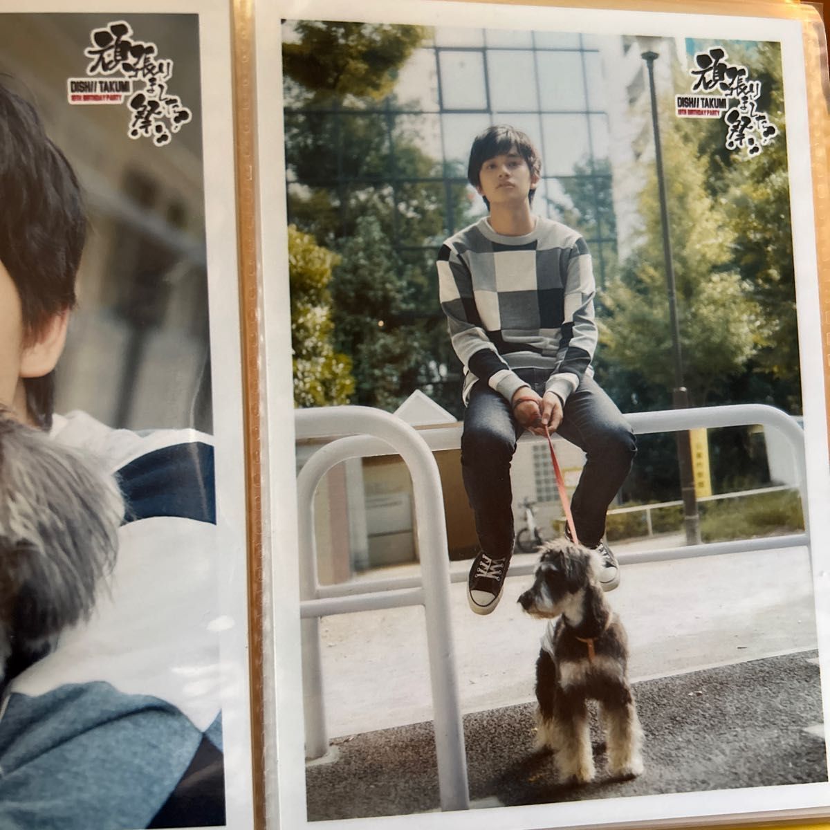 DISH// 北村匠海 生写真 ソロ4枚+おまけ生写真+生写真フォルダ DISH// 北村匠海 生写真 ソロ4枚+おまけ生写真+生写真フォルダ