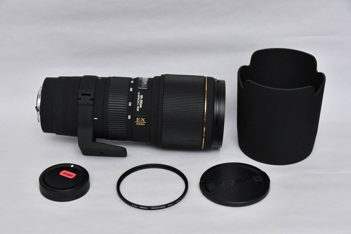 シグマ APO 100-300mm F4 EX DG HSM 貴重なシグマSAマウント 美品
