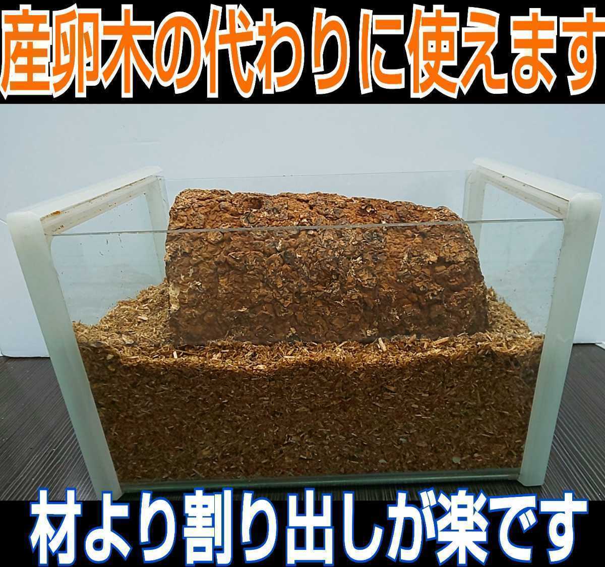 椎茸廃菌床4ブロック☆クワガタ幼虫の餌、産卵木の代わりに！クヌギ100％ 発酵マットに埋め込むと栄養強化になりカブト幼虫がサイズアップの画像7