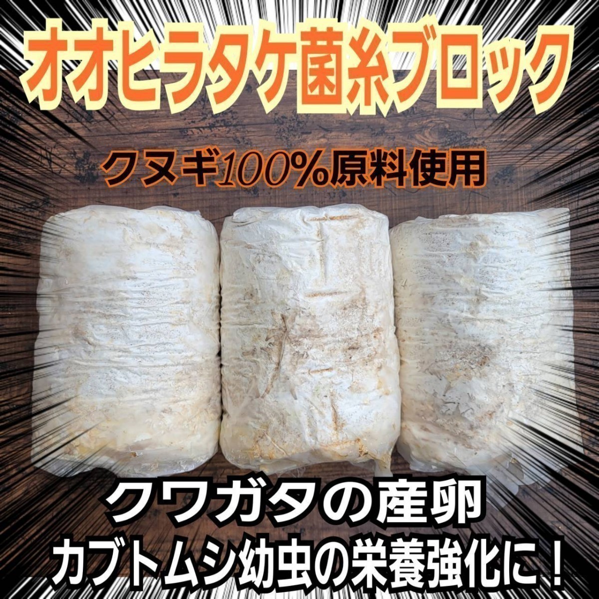 【6本セット】クワガタの産卵材の代わりに！オオヒラタケ菌床ブロック　簡単にほぐせるので幼虫の割り出しが楽です！マットに埋め込むだけ_画像4