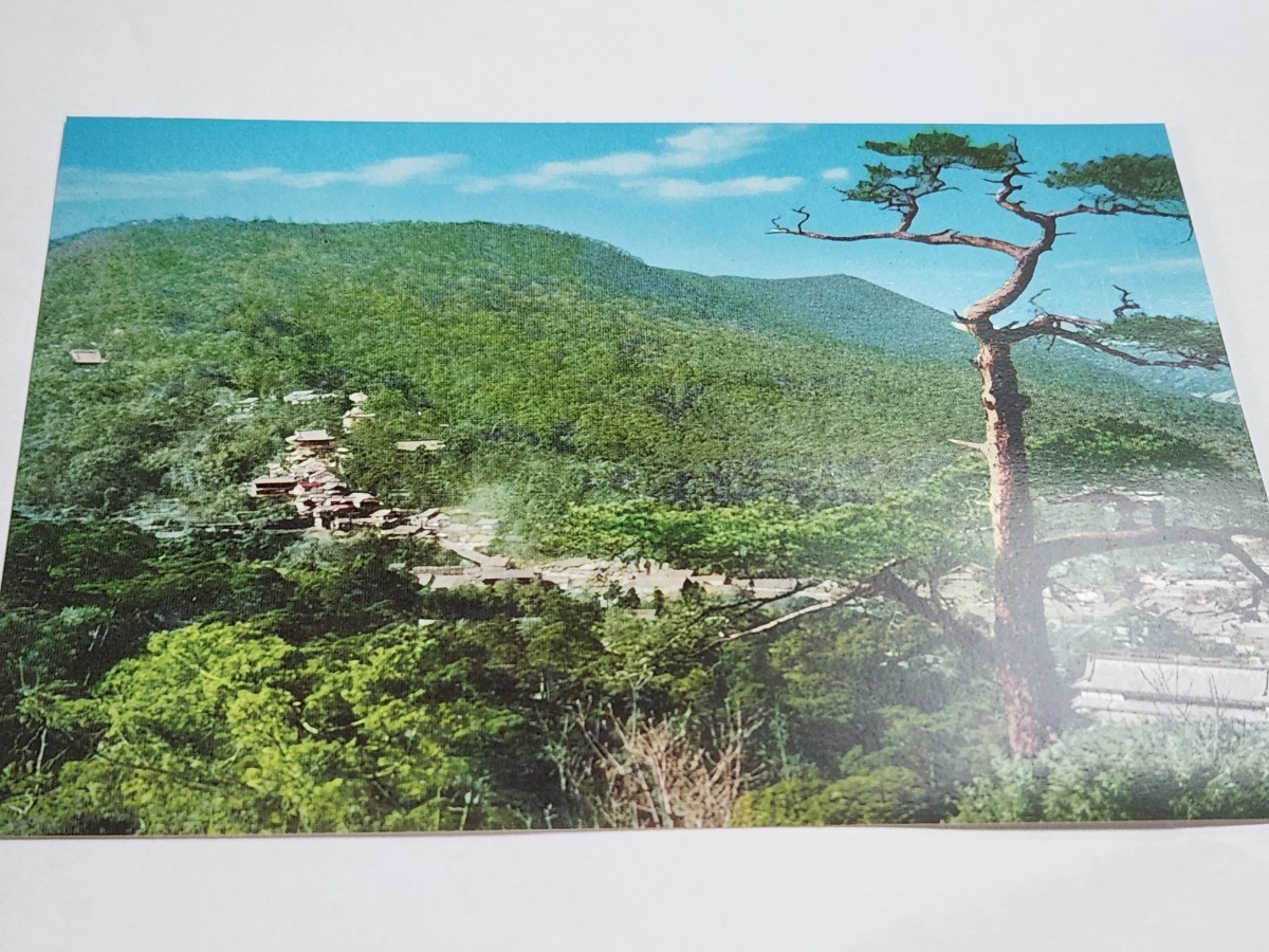 1500　絵葉書　金刀比羅宮　象頭山_画像1