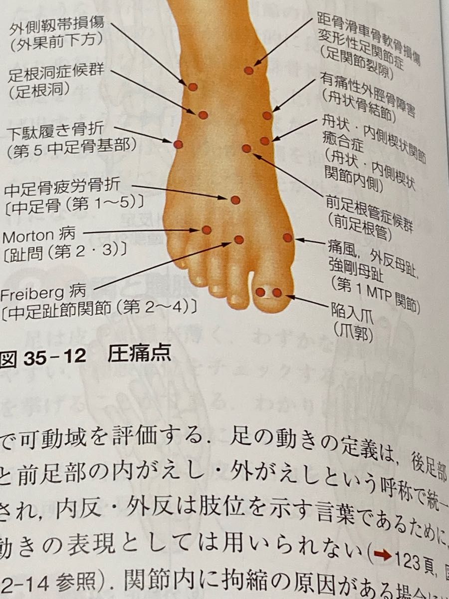 標準 整形外科学|Yahoo!フリマ(旧PayPayフリマ) 標準 整形外科学|Yahoo!フリマ(旧PayPayフリマ)
