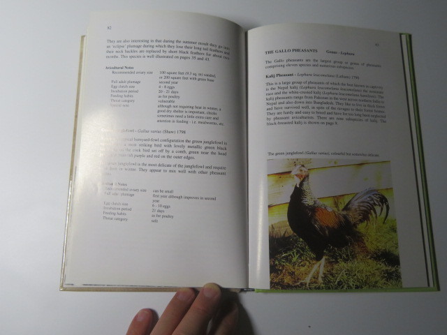 Introduction to Ornamental Pheasants 世界のキジ 図鑑 洋書 K. C. R. Howman (著)