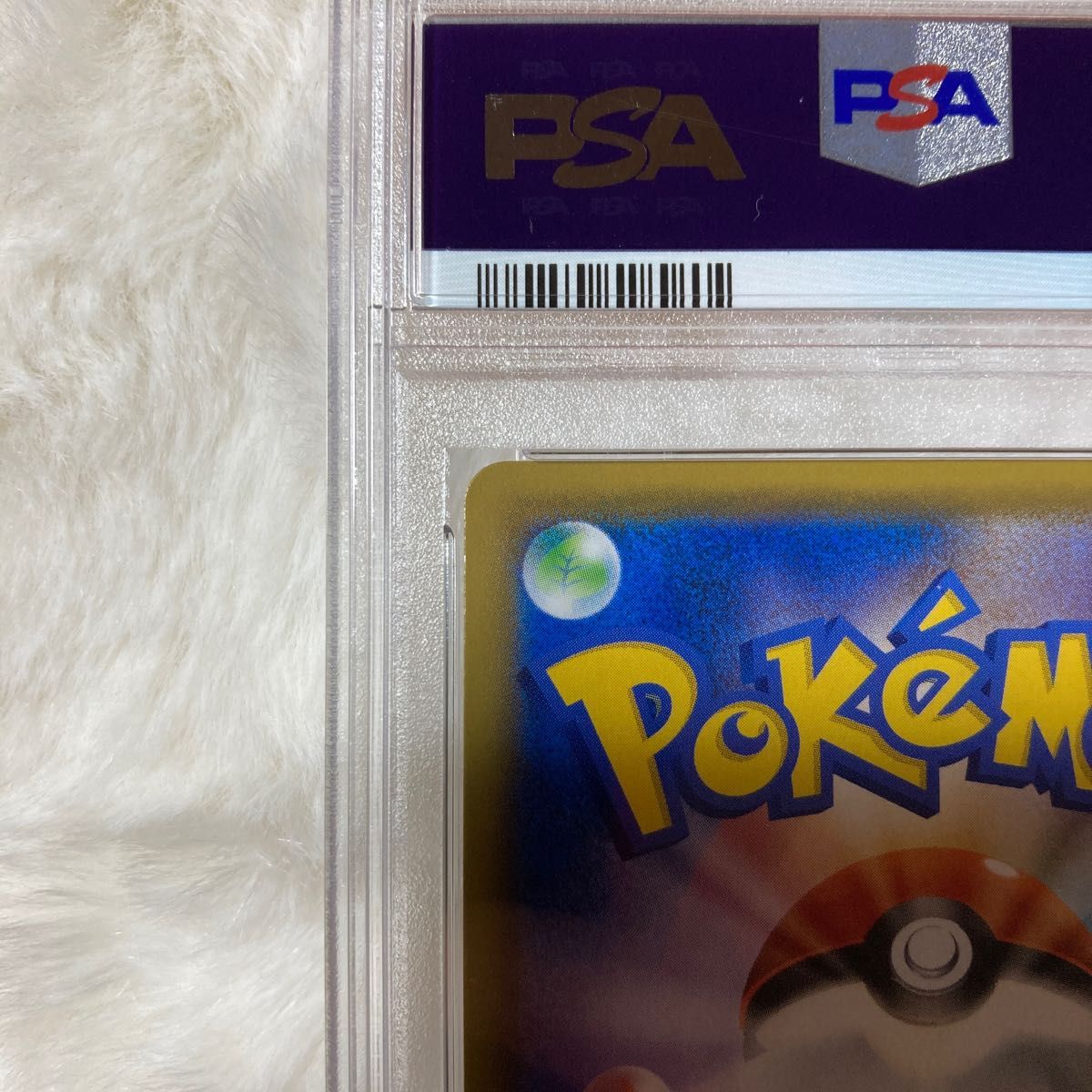 美品PSA10】ピカチュウ CHR ドリームリーグ ポケモンカード