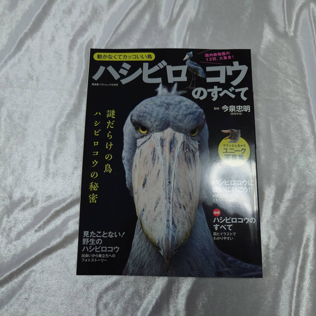 ハシビロコウのすべて 動かなくてカッコいい鳥 謎の生態を徹底解説 廣済堂 ベストムック 415号 今泉忠明／監修の画像6