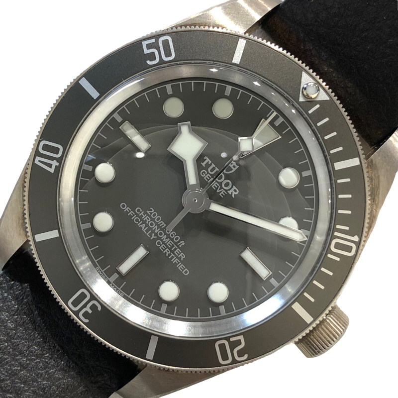 数量は多い チューダー/チュードル TUDOR ヘリテージブラックベイ フィフティエイト 79010SG 腕時計 メンズ 中古 その他 数量は多い チューダー/チュードル TUDOR ヘリテージブラックベイ フィフティエイト 79010SG 腕時計 メンズ 中古 その他