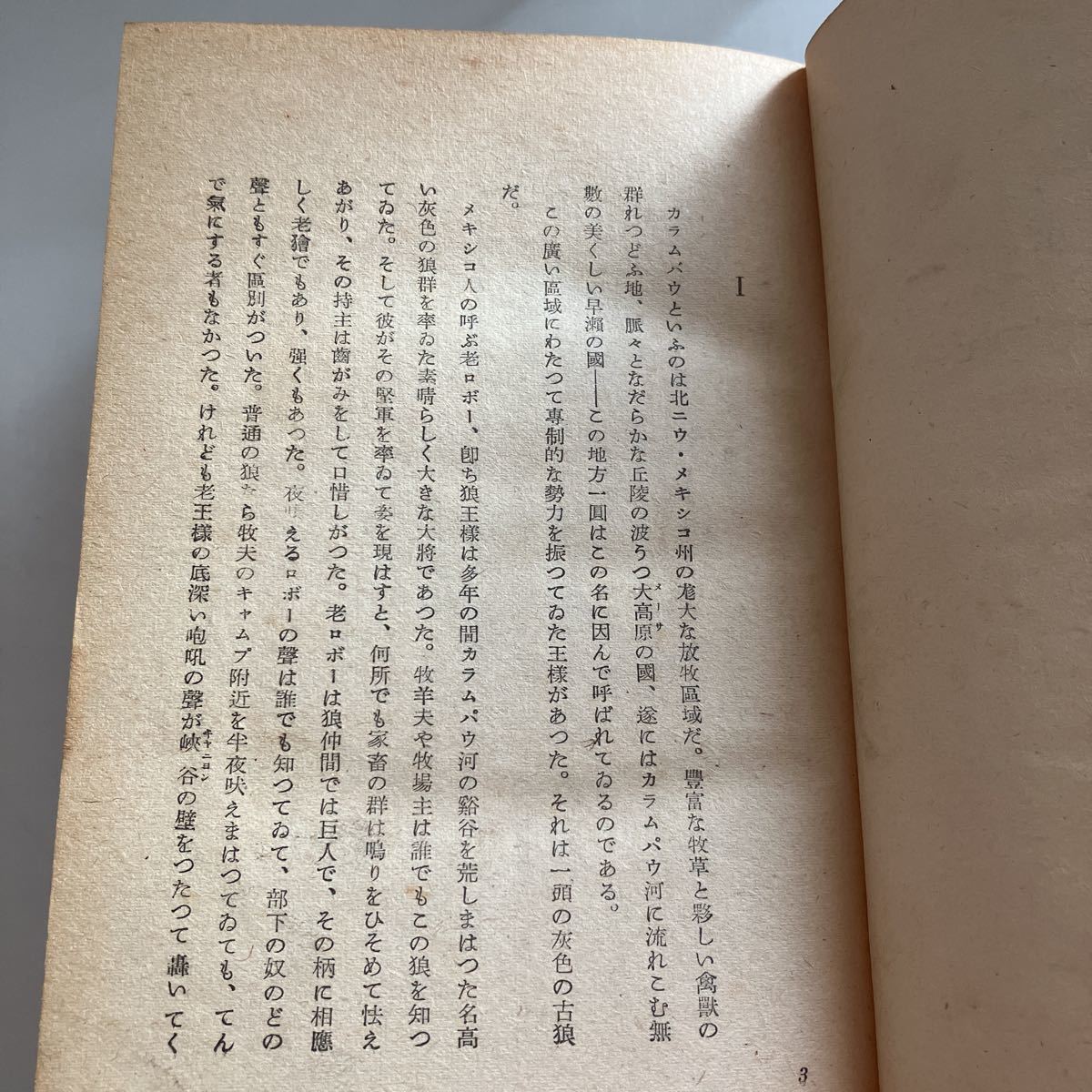 ◇送料無料◇ 動物記 第一冊 シートン 内山賢次 訳 白揚社 昭和19年 昭和レトロ本 ※裏表紙記名あり写真参照 ♪GM607_画像7