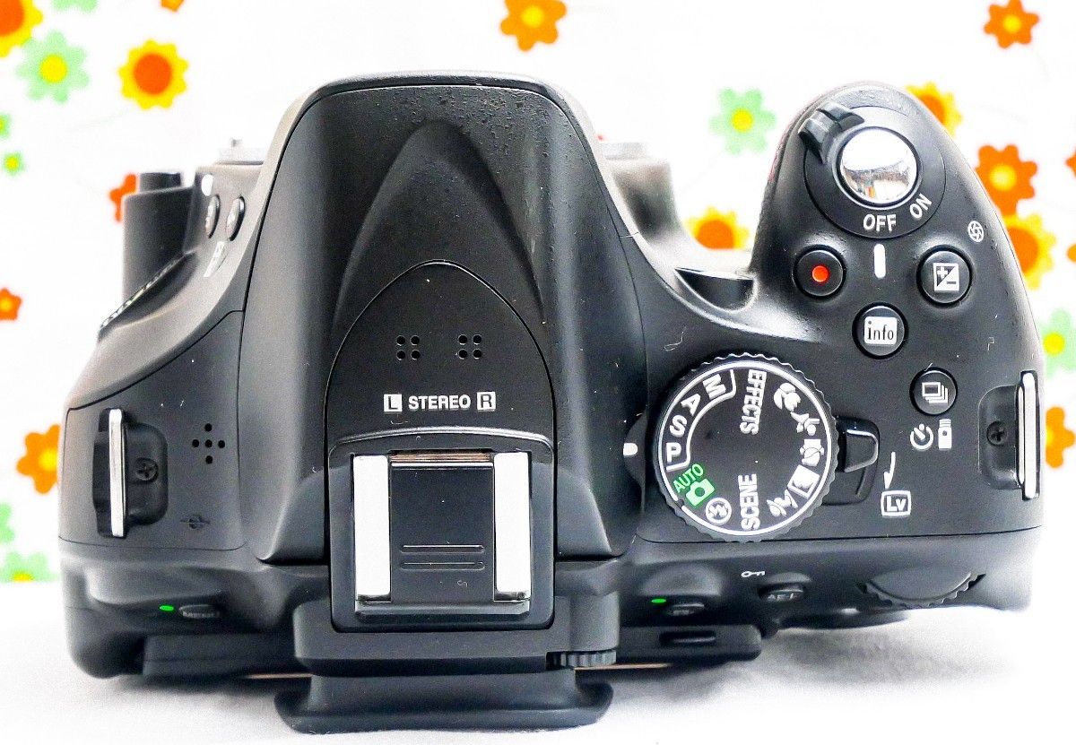 ニコン Nikon D5200 高画質一眼レフ 付属品多数 動画撮影可｜Yahoo