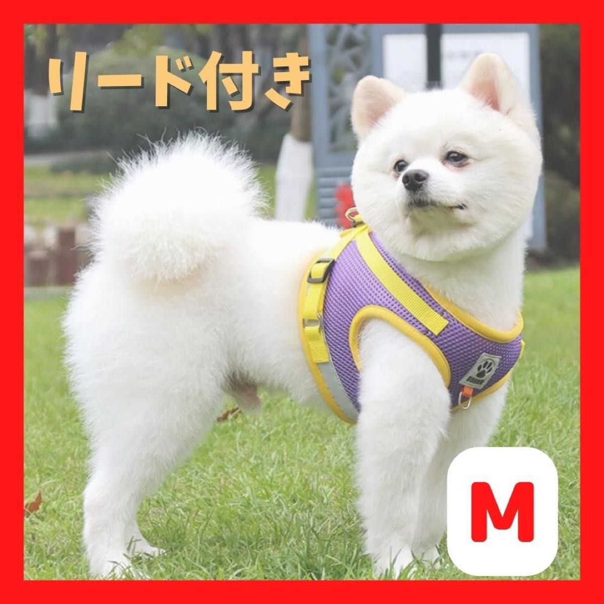 犬 パープル ハーネス リード セット M 紫 散歩 かわいい カラフル