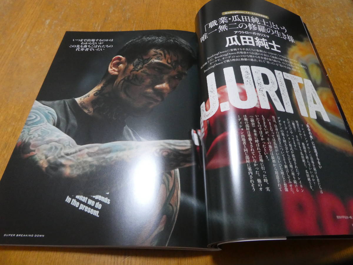 即決!超BREAKING DOWN ブレイキング・ダウン 公式BOOK 格闘技 即決!超BREAKING DOWN ブレイキング・ダウン 公式BOOK 格闘技