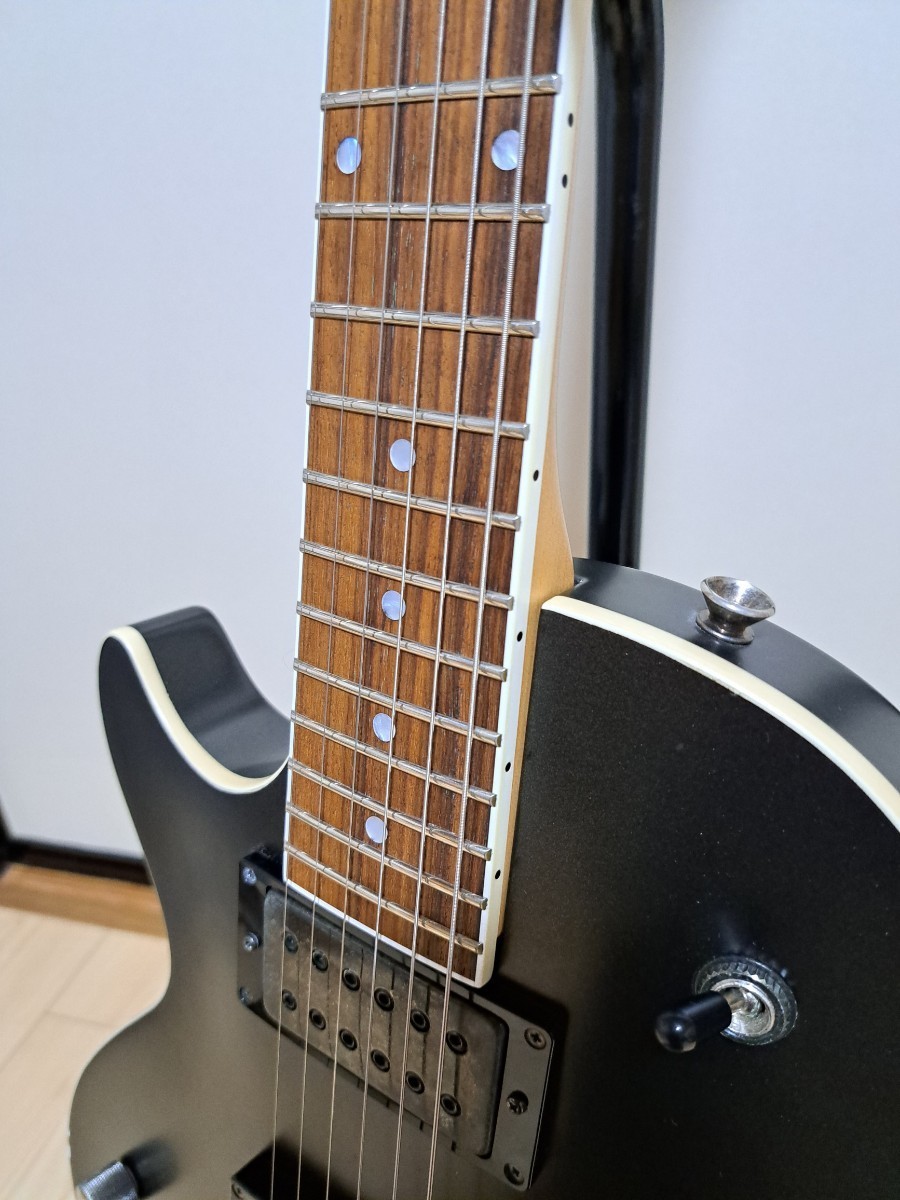 Burny レスポールタイプ LG-480 バーニー ギター レフティ LHの入札