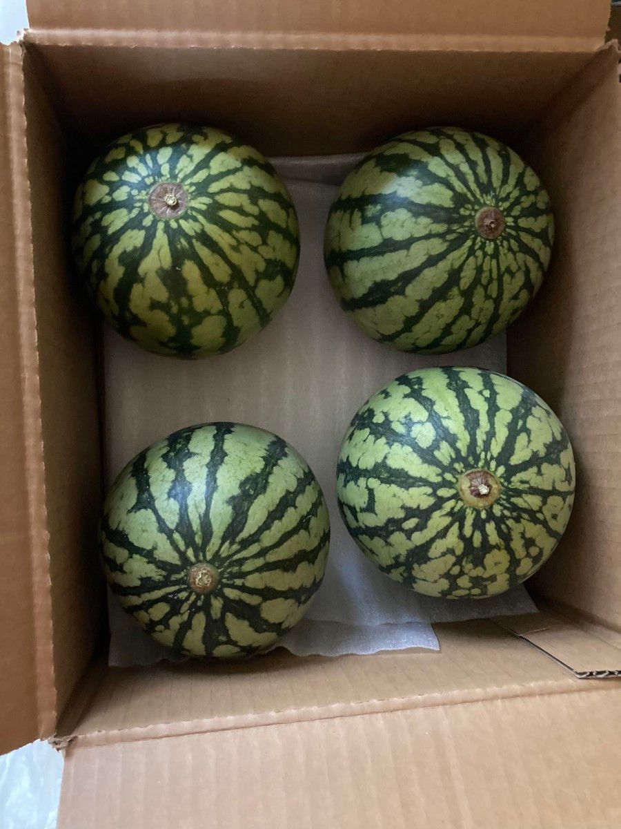 6.お買い得数量限定 小玉ひとりじめスイカすいか6玉入り ひとりじめナノ 小玉スイカ 和歌山 4個 5kg