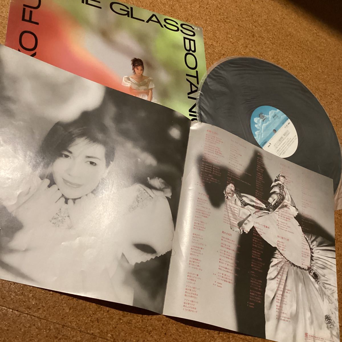 [サンプル]藤真利子　the glass botanical garden cl-28レコード　md0620-2_画像6