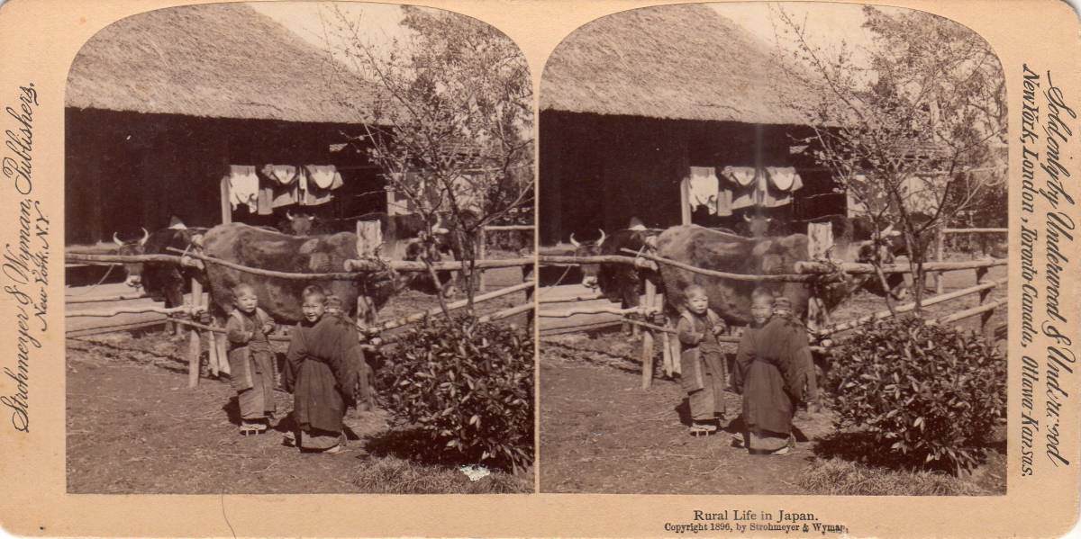 ステレオ写真 立体写真 古写真 明治期 農民 子供 田舎暮らし 1896年 ステレオビュー _画像1