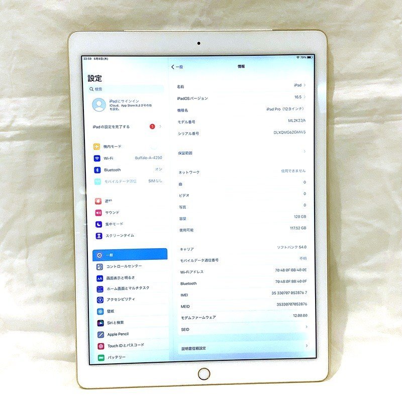上質で快適 + Wi-Fi Pro アップル(Apple)iPad Cellular ジャンク