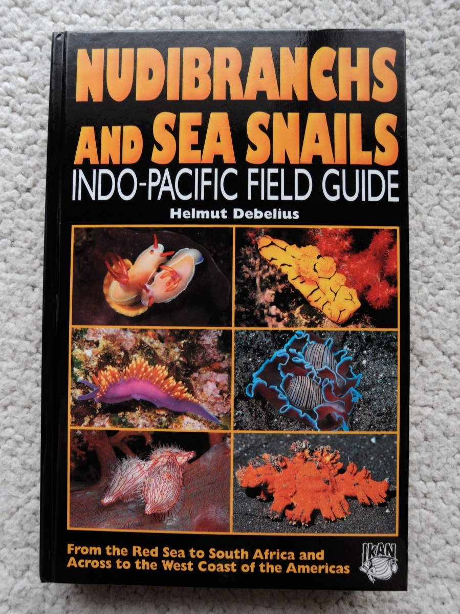 Nudibranchs and Sea Snails Indo-Pacific Field Guide 裸鰓類／洋書_画像1