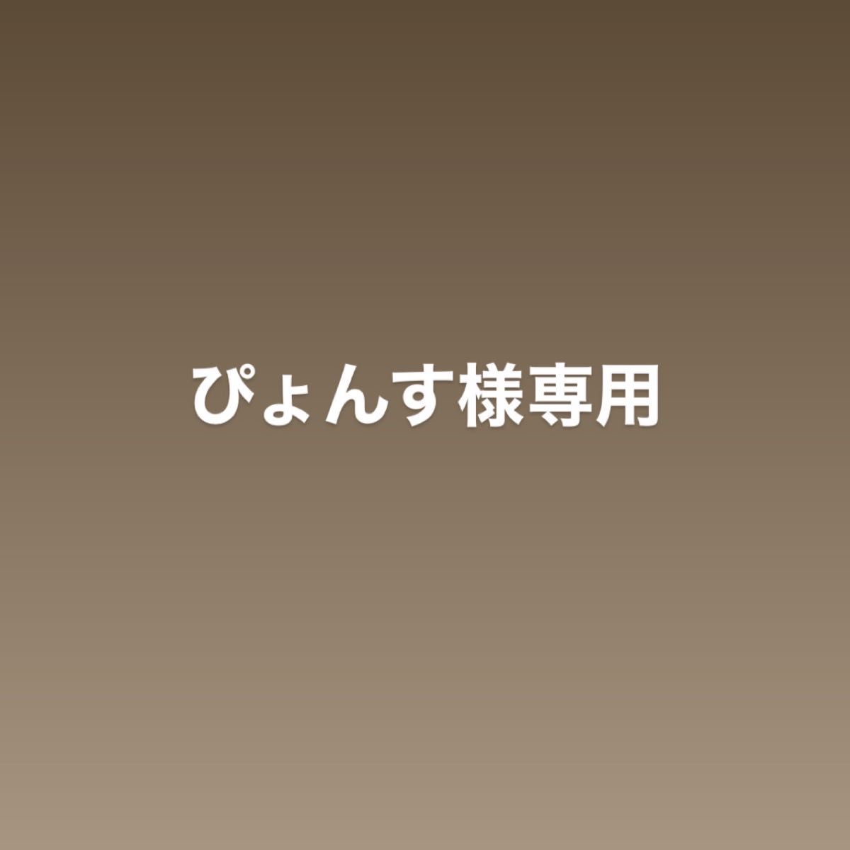 ぴょんす様専用