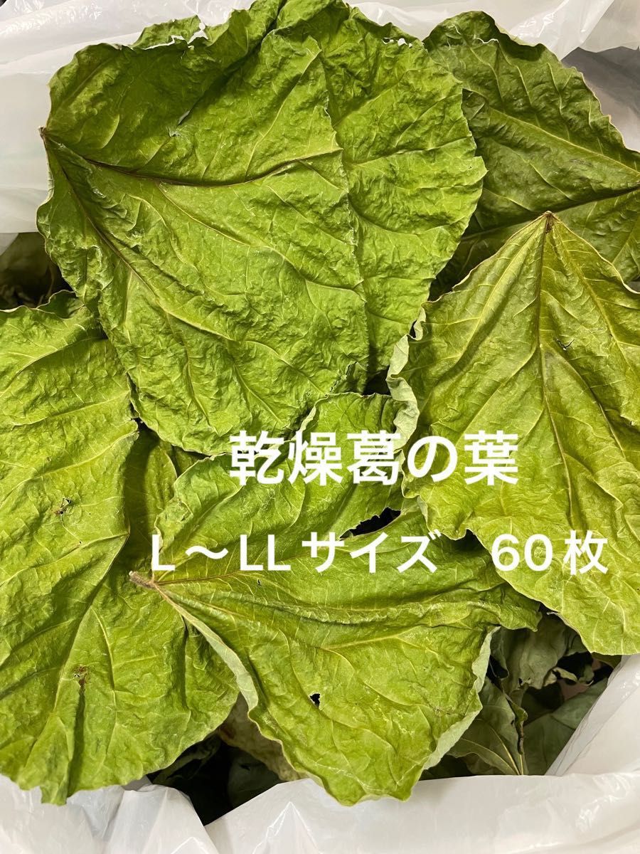 乾燥桑の葉 50g 無農薬 セール中 - ペットフード