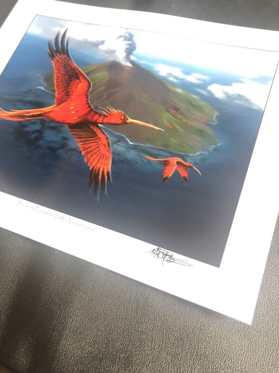 アートプリント 複製原画 極楽鳥 Birds of Paradise Mark Poole氏