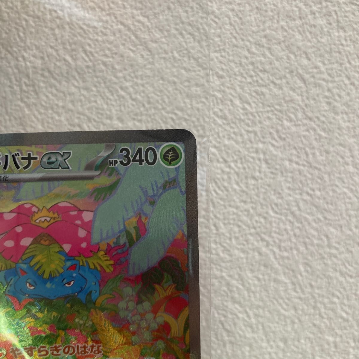 フシギバナSAR フシギソウAR フシギダネAR ポケモンカード 3点 フシギバナSAR フシギソウAR フシギダネAR ポケモンカード 3点