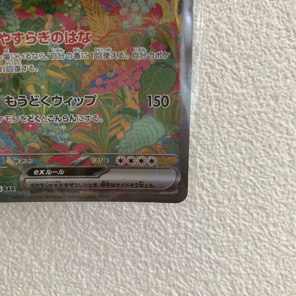 フシギバナSAR フシギソウAR フシギダネAR ポケモンカード 3点 フシギバナSAR フシギソウAR フシギダネAR ポケモンカード 3点