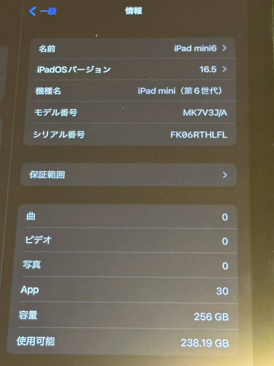 ほぼ未使用】iPad mini 第6世代 256GB Wi-Fi スターライト ケース
